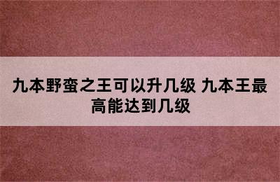 九本野蛮之王可以升几级 九本王最高能达到几级